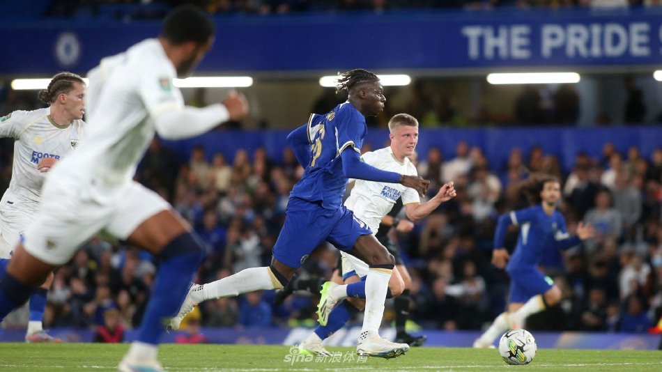 申京的多面 申京的多面